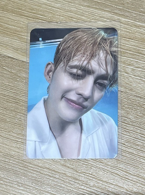 Seventeen 勝哲 迷12小卡 專輯