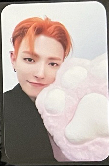 透透貓掌特典-中