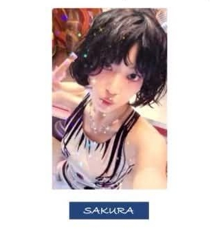 日咖、環球預售櫻（閃卡）