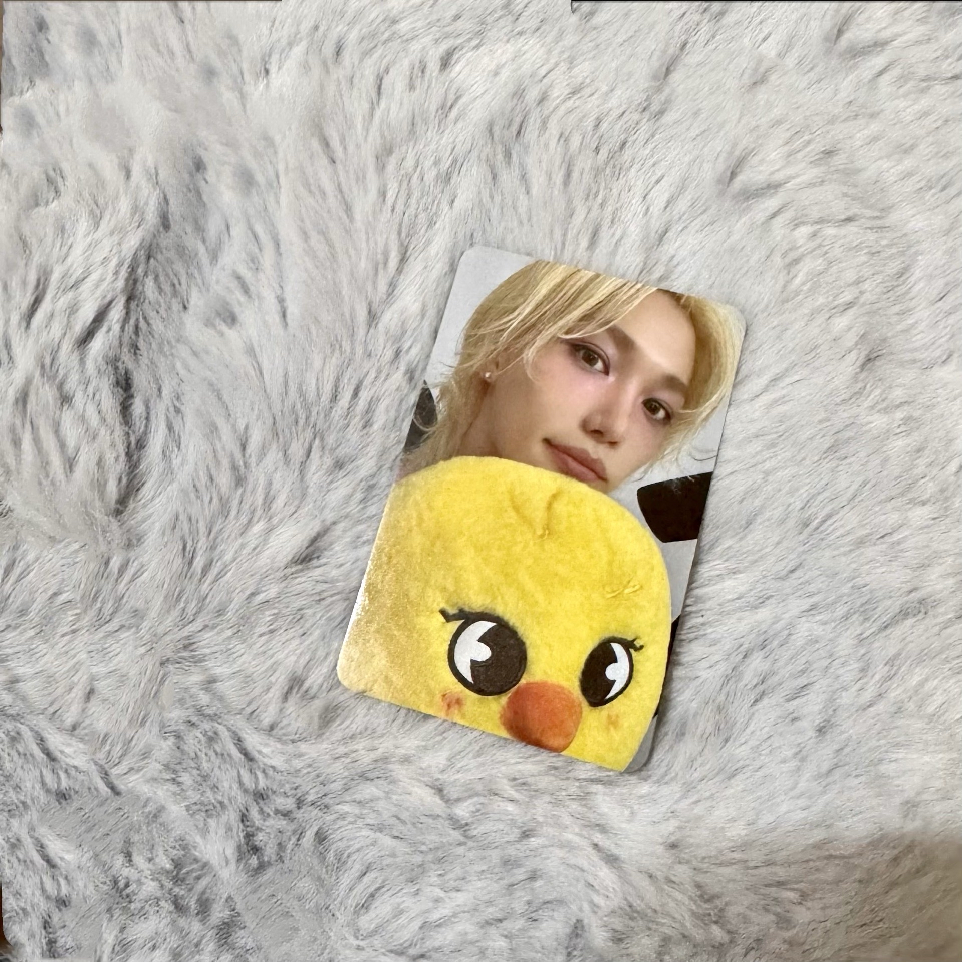 🍀3rd 世巡安可快閃店 線下滿額卡 菲