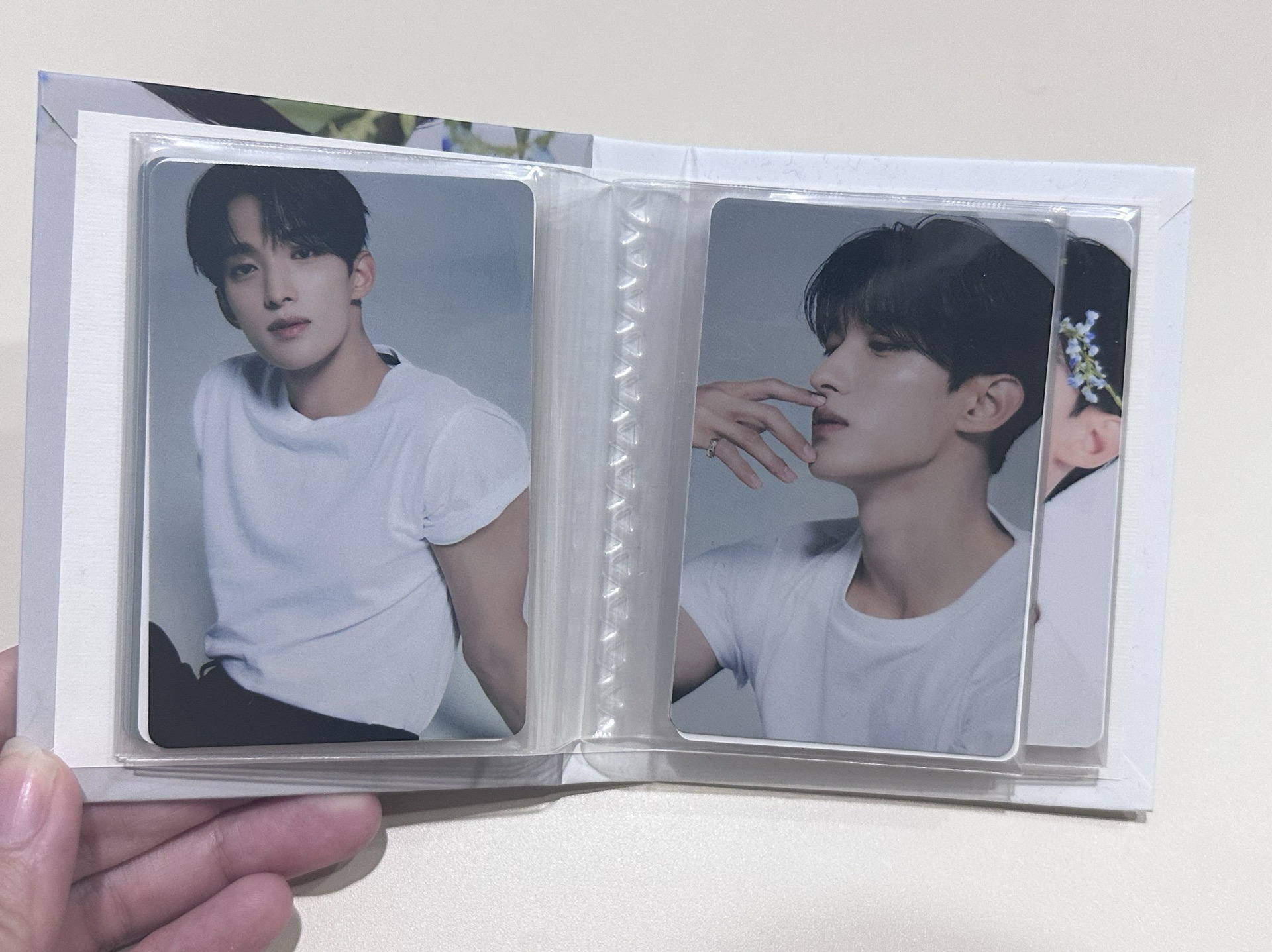 🌼seventeen 精選專克拉盤 碩的固卡組 DK