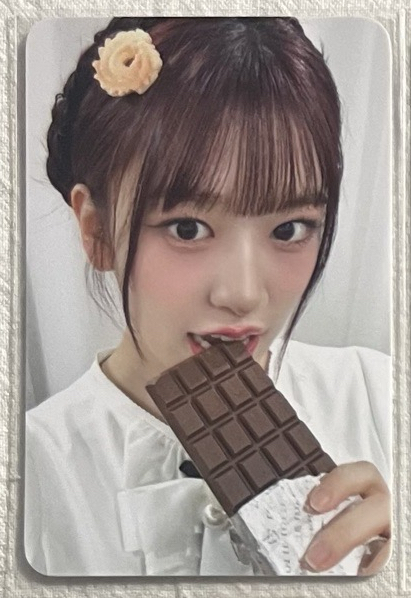 wm5安