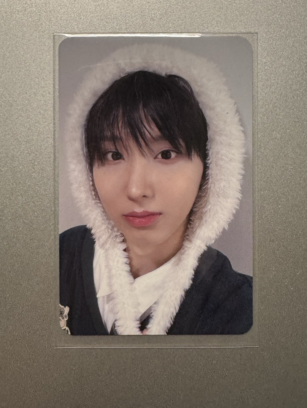 台北MS簽售白色小熊 主汪