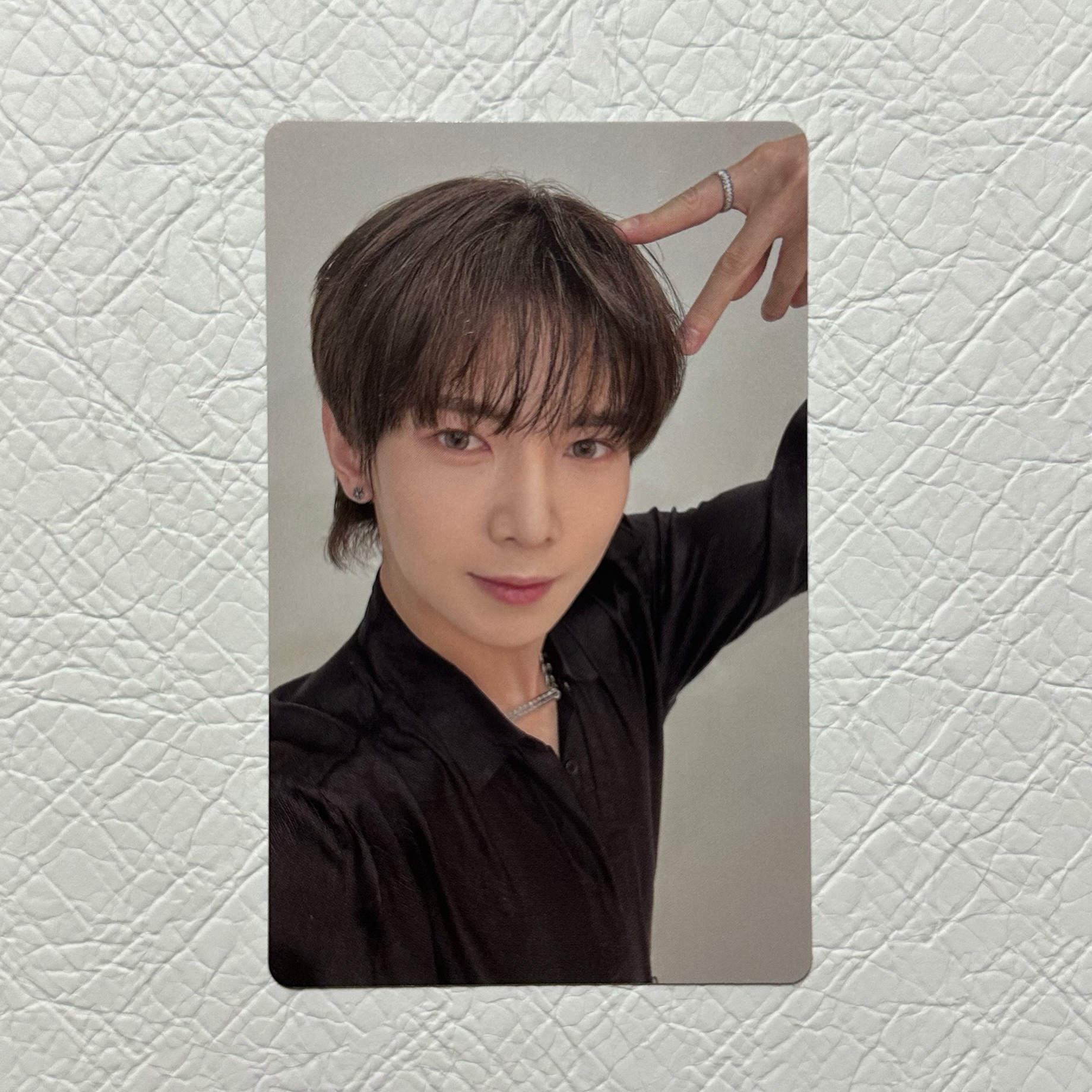 貓耳尚(需多帶其他尚/鍾/中特典卡）