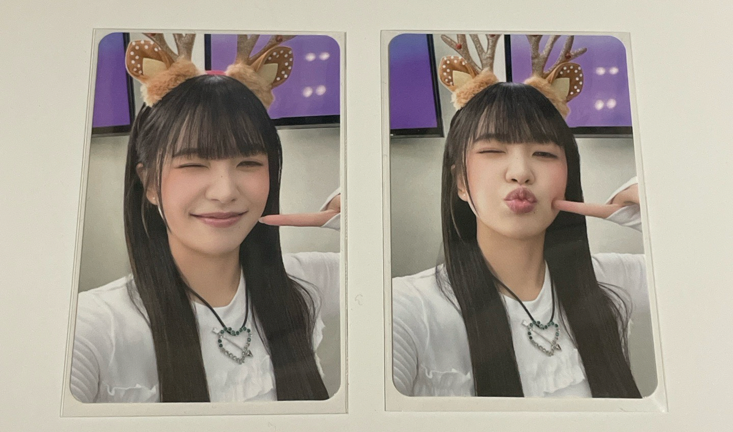 23年聖誕隨機卡 椰（右邊）