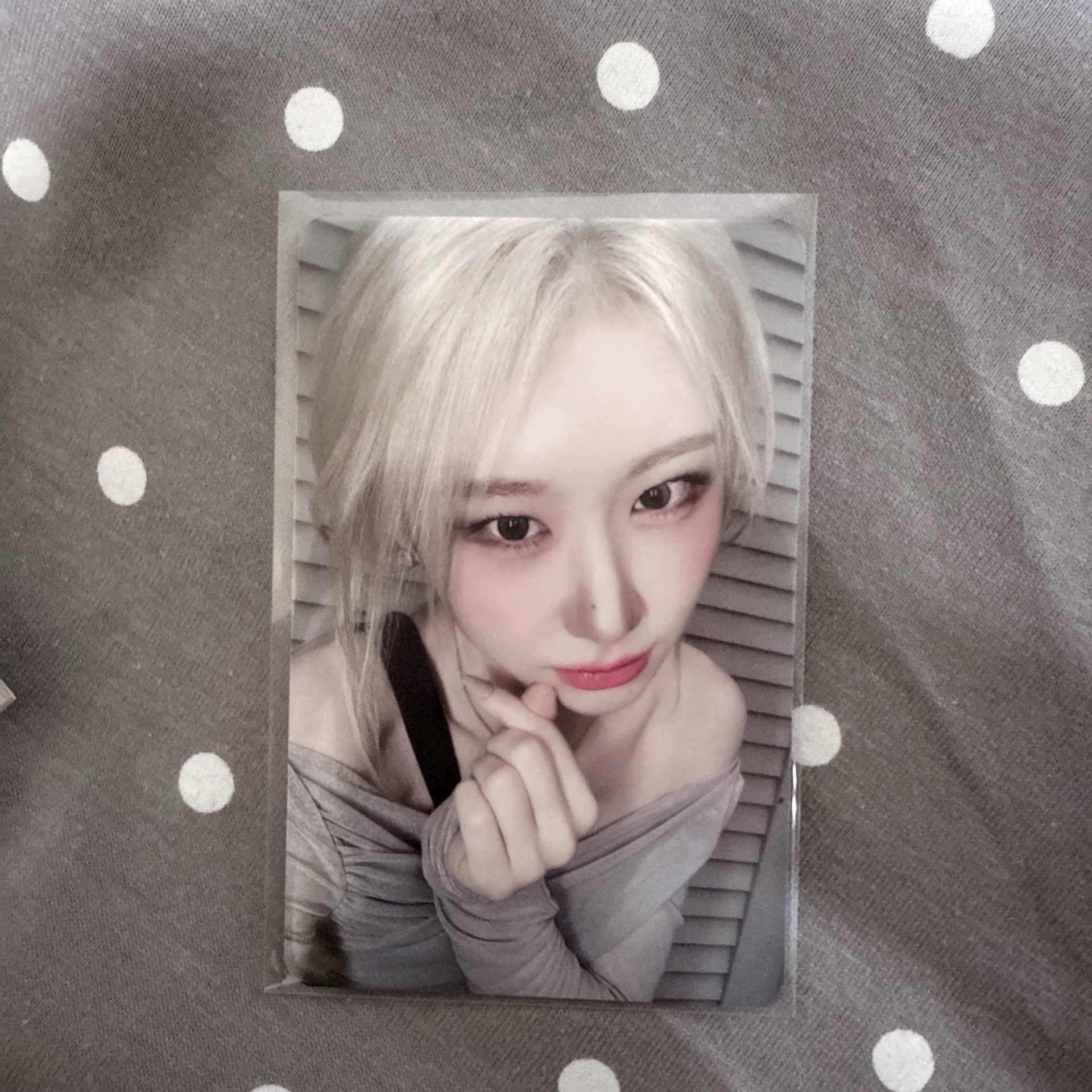 GOLD ms 手繪卡背 烘焙領🦊