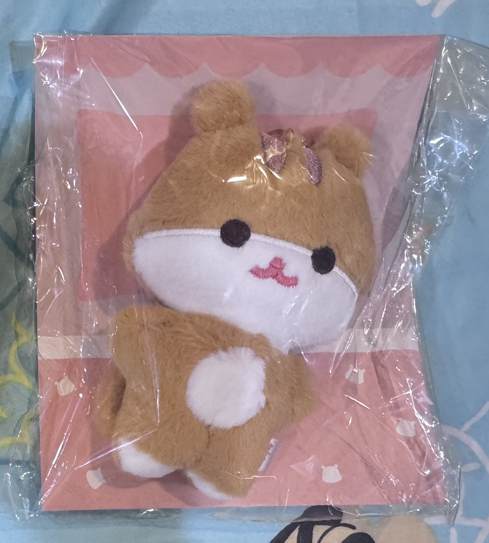 中豆眼（無卡）