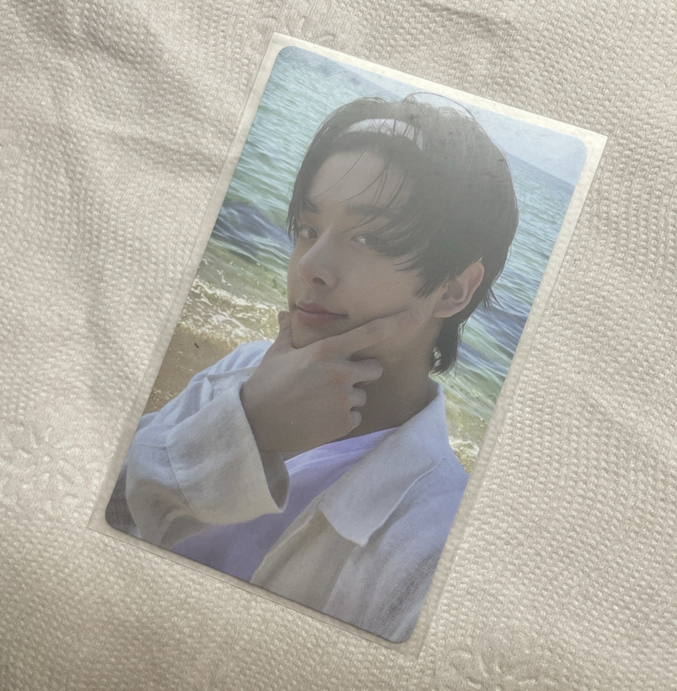 藍色珍珠音調🎶