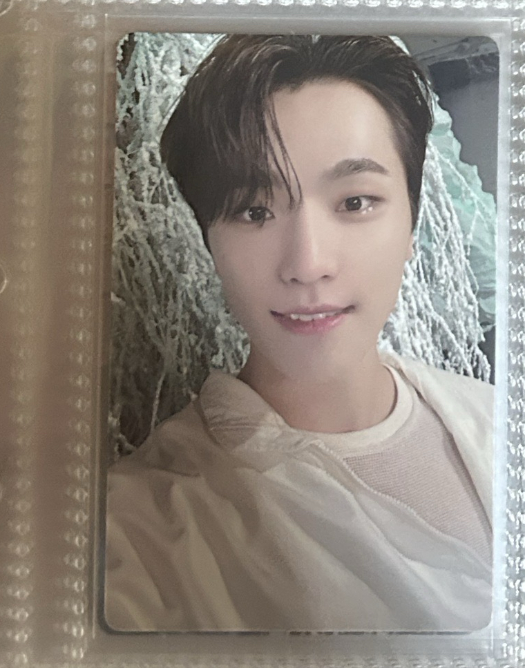 正四後續 韭菜盤 燦