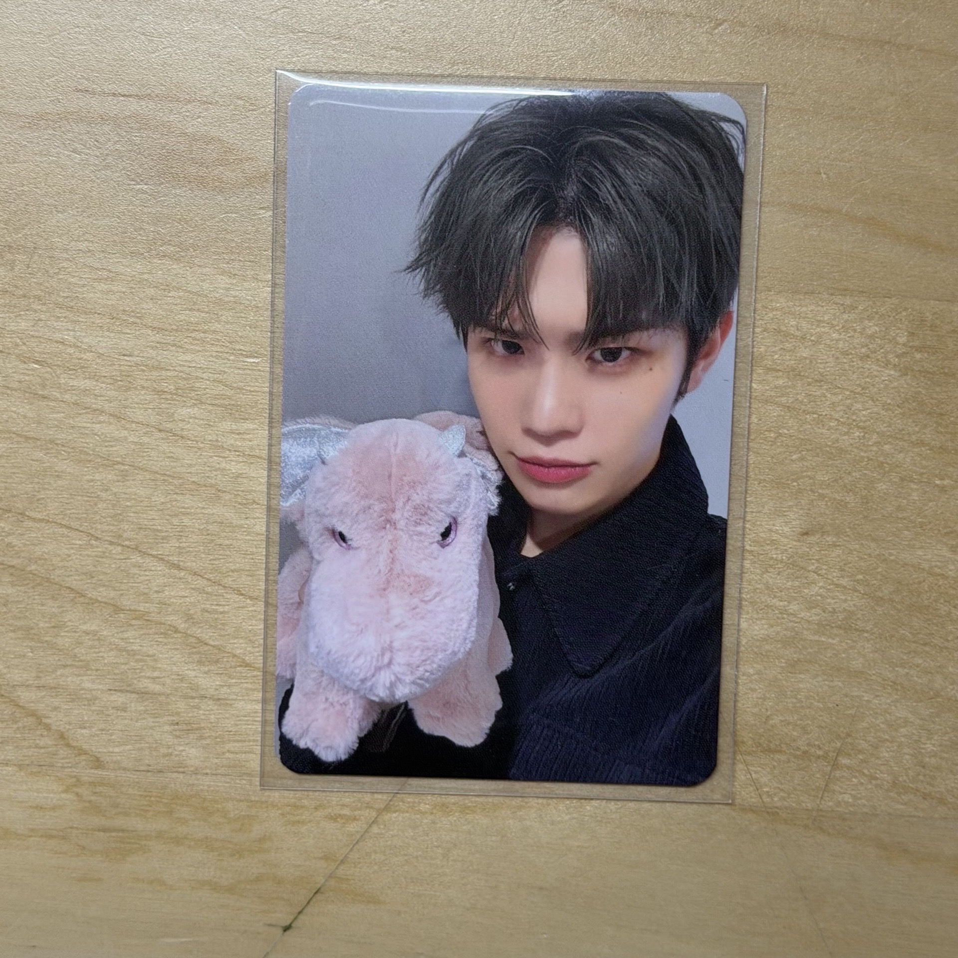 zb1 上海ms快閃龍龍來 金泰來