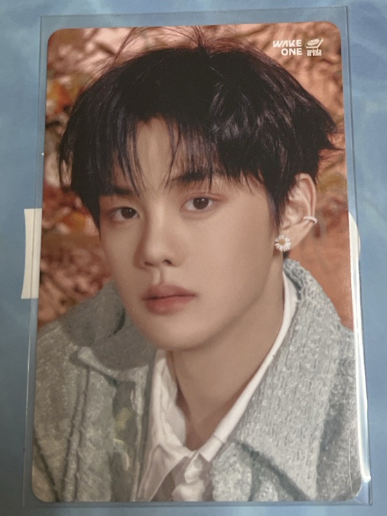 小狗狗在花花的世界遨遊🌼