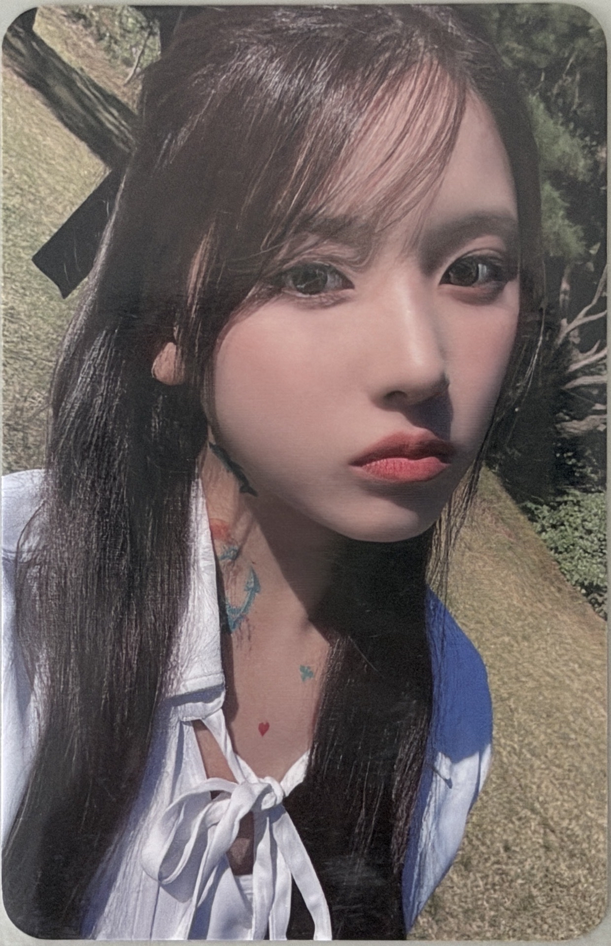 NMIXX JIWOO EL預售 草原友