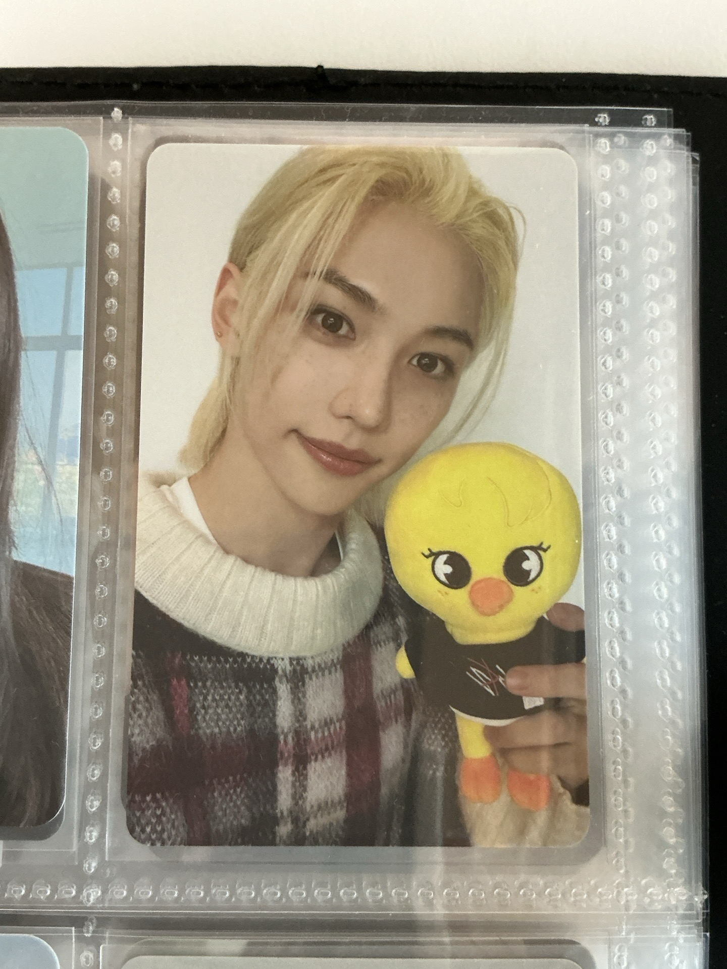 李龍馥與他的波阿里