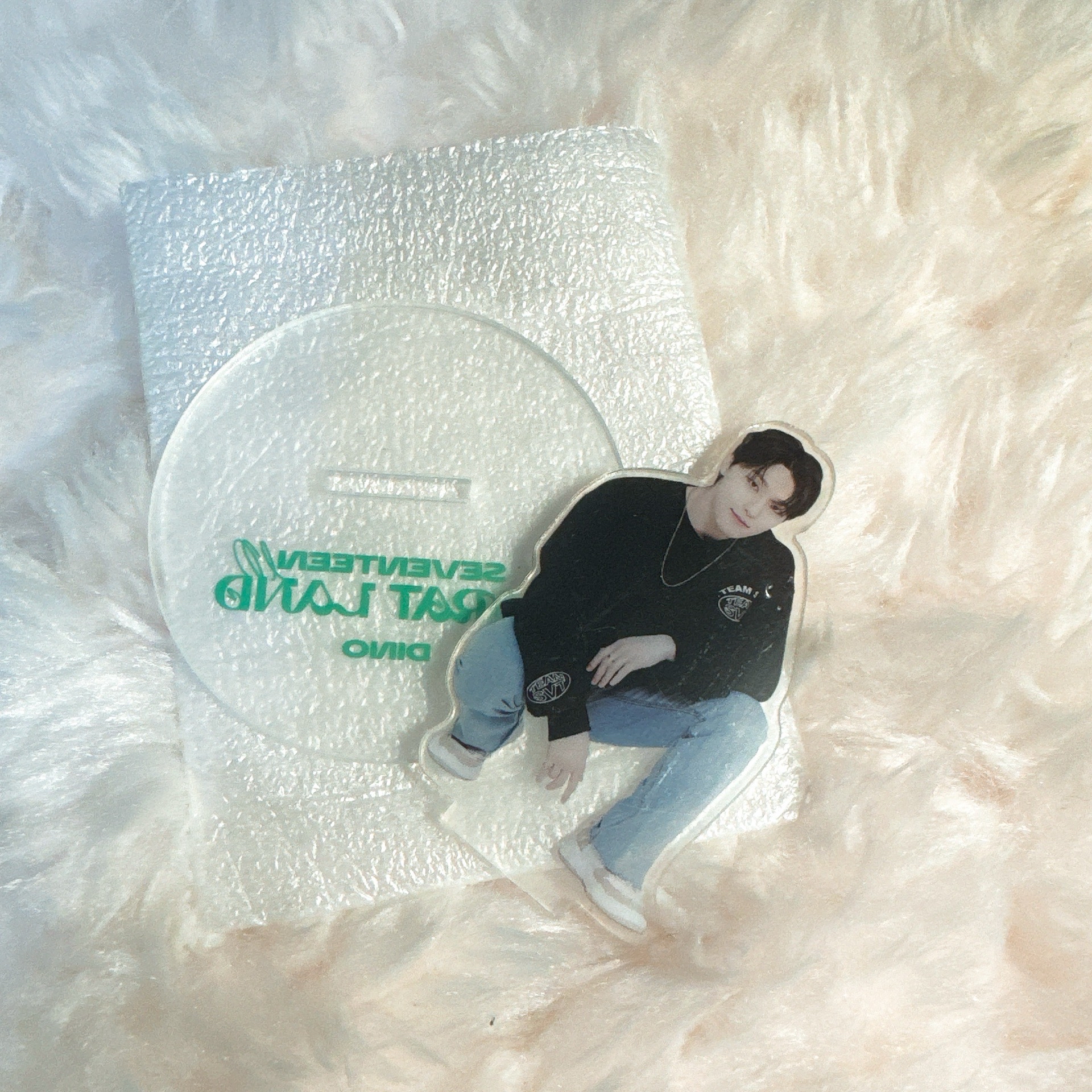 Seventeen Dino 2022克拉島 壓克力立牌