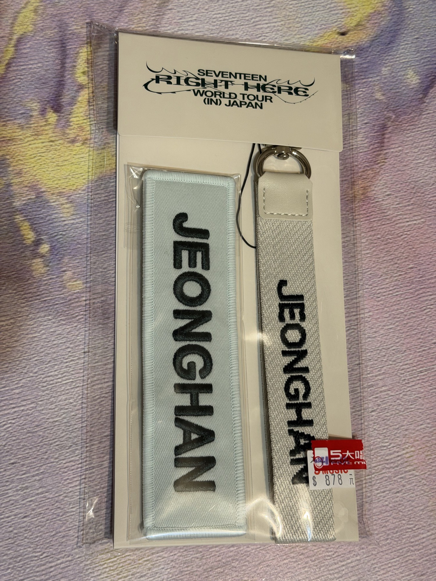 尹淨漢 日巡周邊