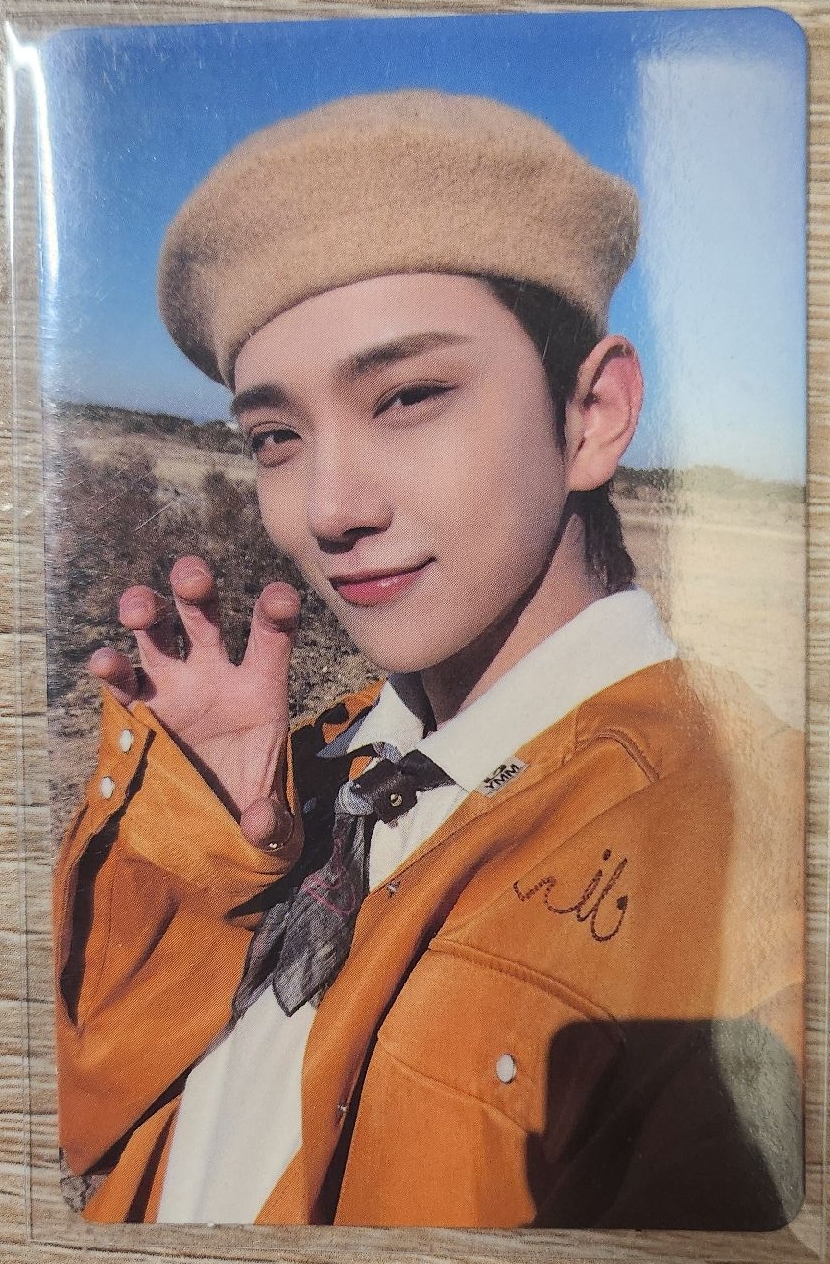 正四 wvs特典 貝雷秀 虎爪秀 洪知秀 joshua