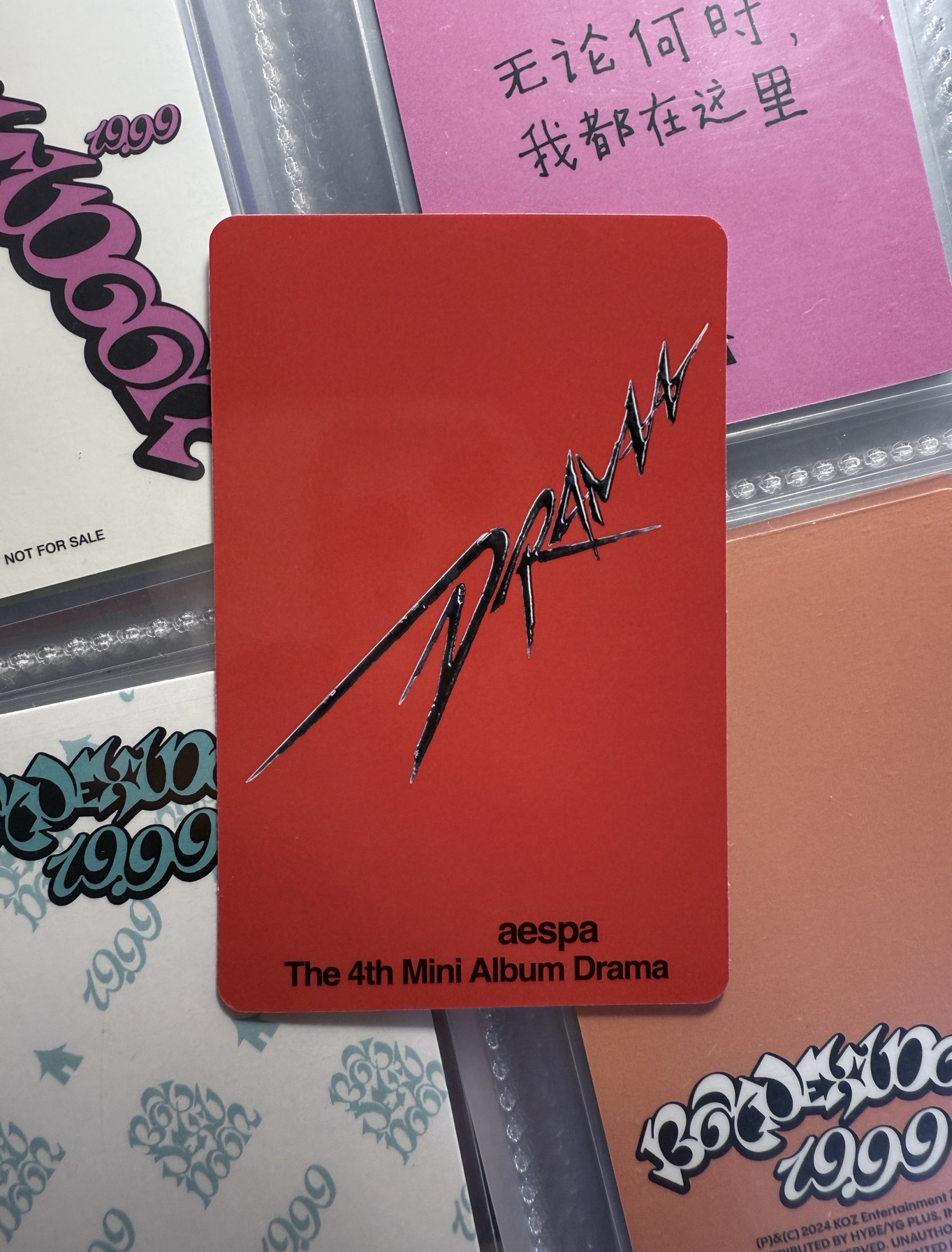 ✴️ Drama 華納特典冬 小熊冬 WINTER