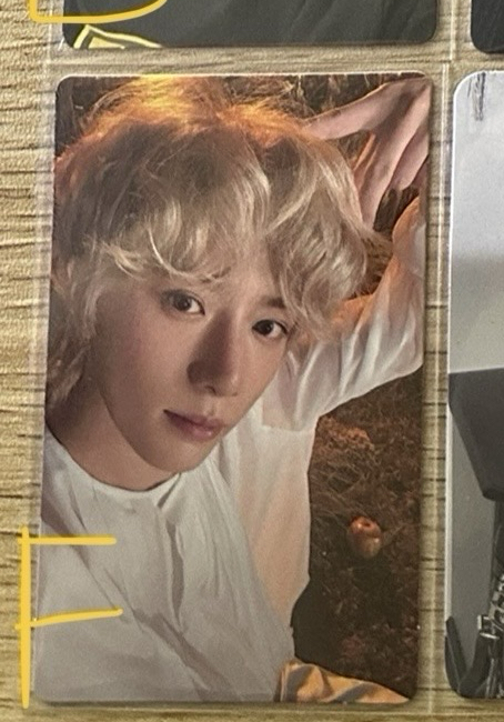 迷六 wvs 貓耳圭