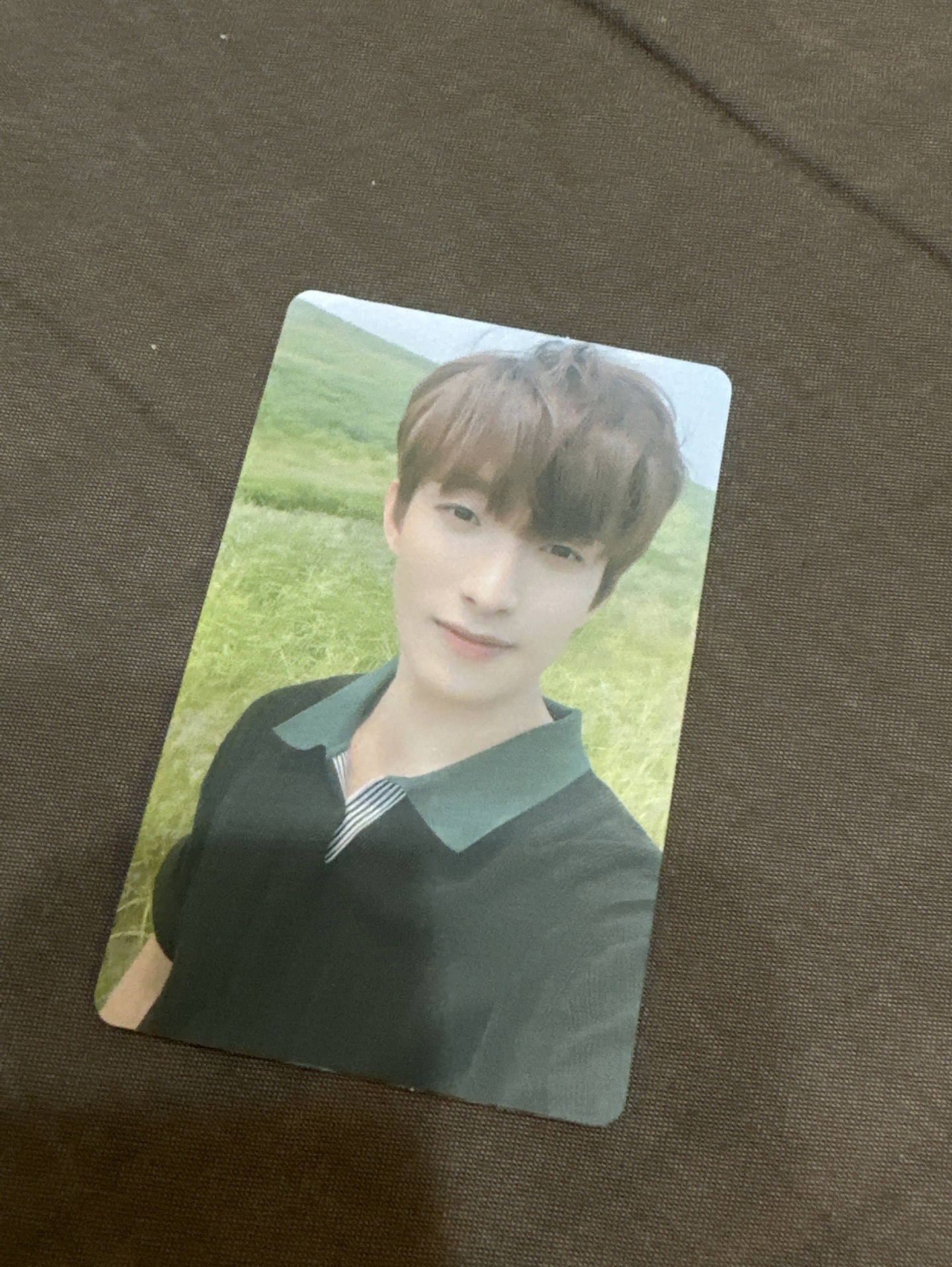 SEVENTEEN MINI5 專輯卡-DK