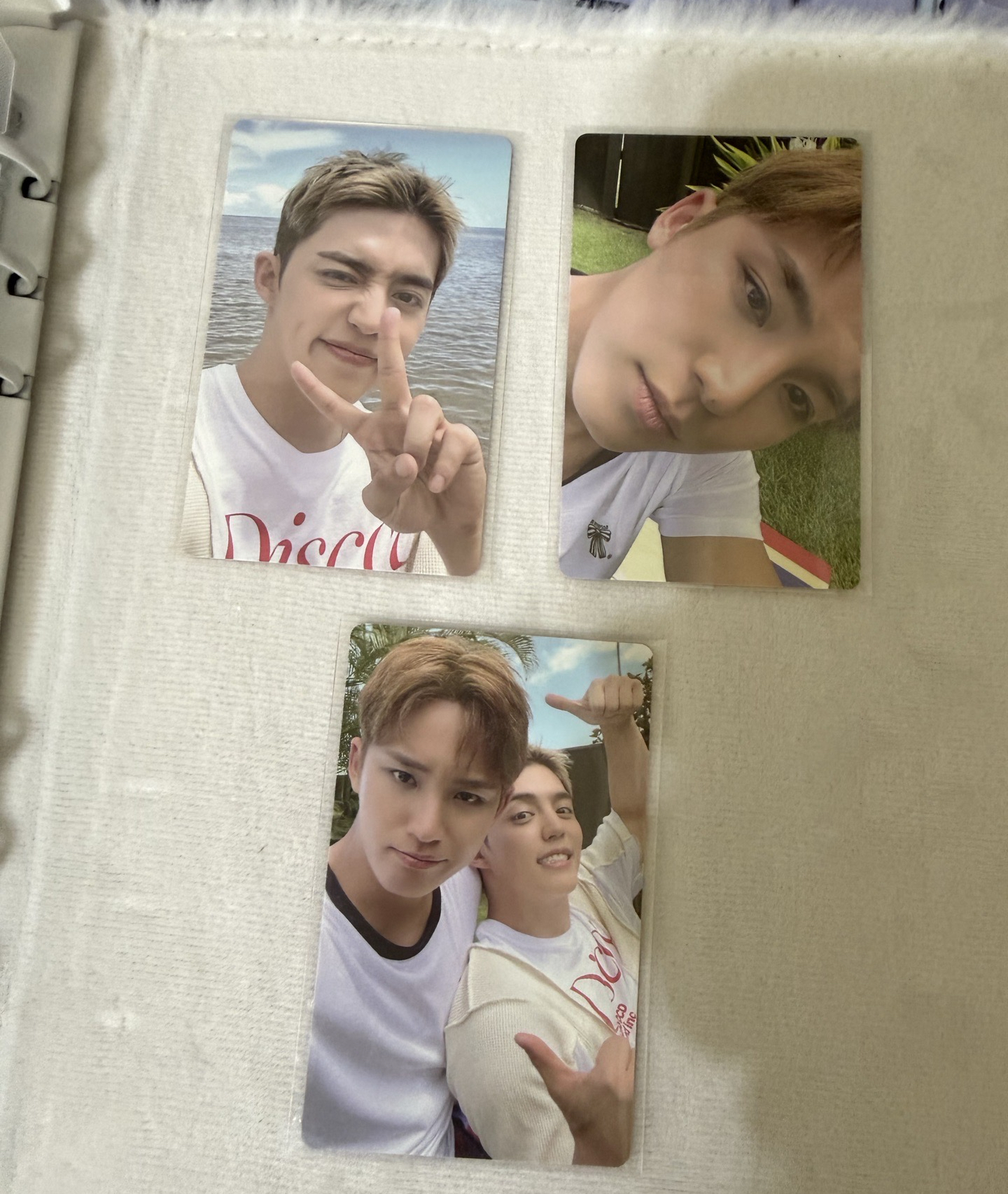 CxM wvs特典三張 哲奎