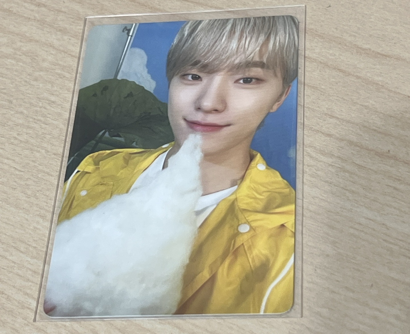 MINI11 專輯卡 ｜CARAT ver.