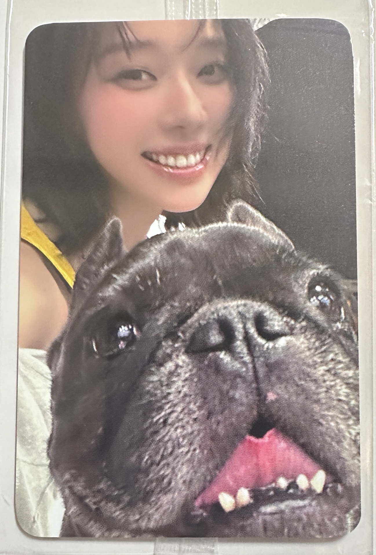 ⭐️預售 狗狗冬