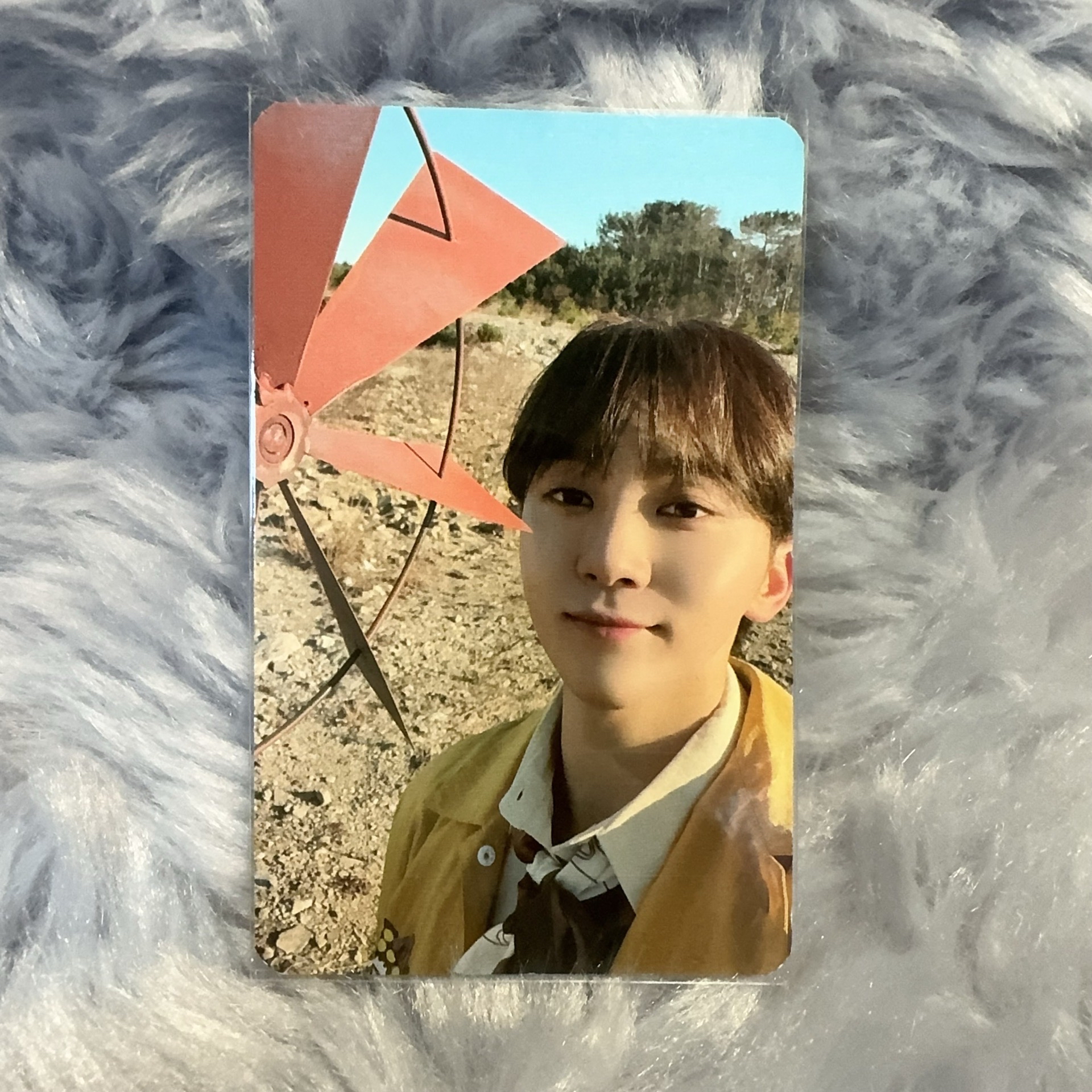 Seventeen Face the Sun 幸運卡 勝寛