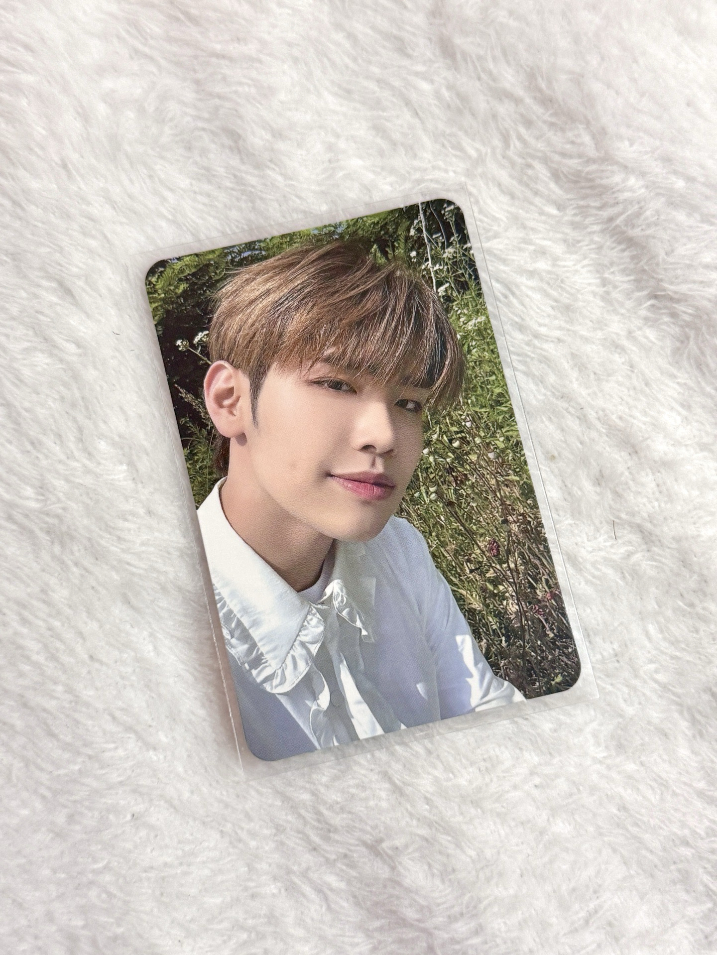 哎呦喂太陽有點大