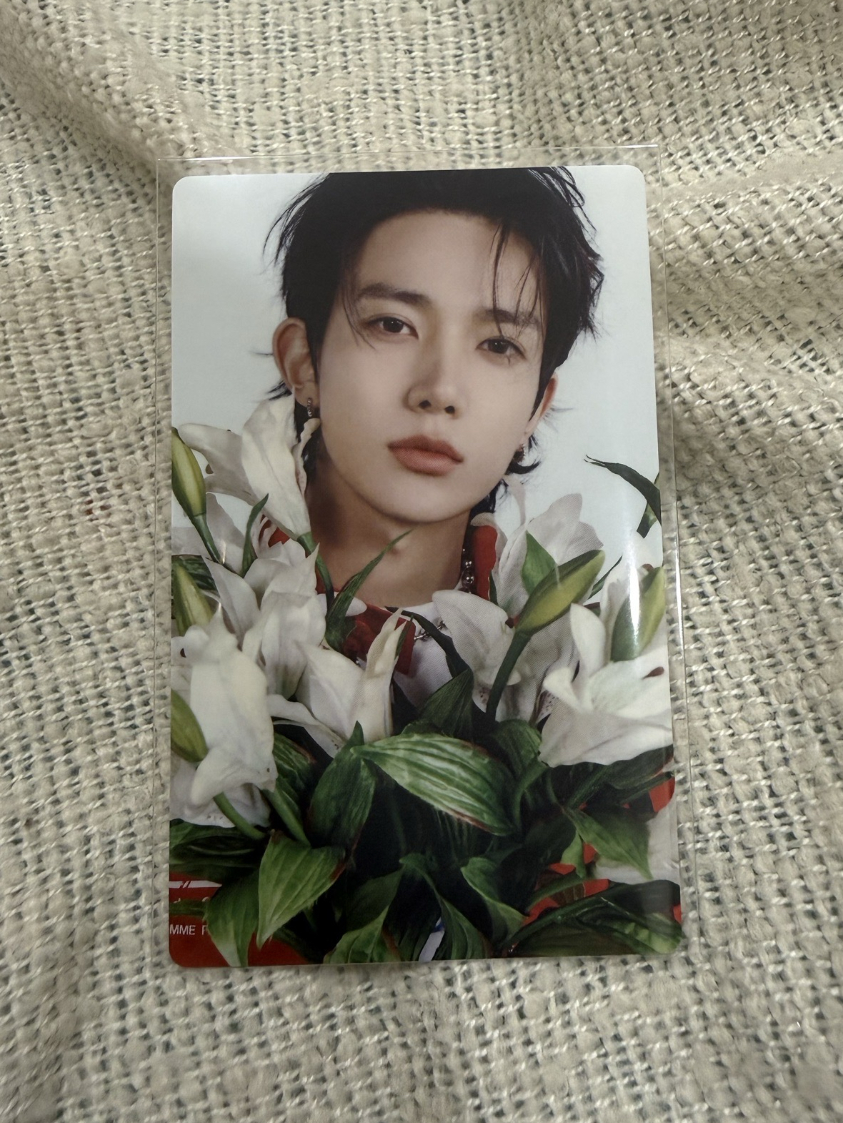 ENHYPEN 羲承 宵 日專 B版 專卡