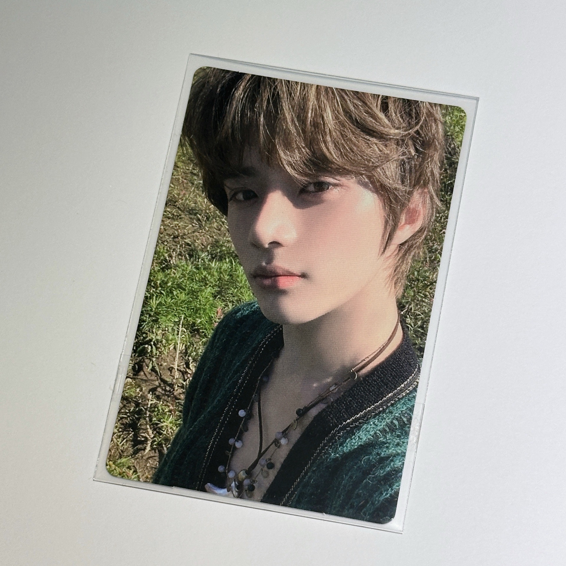 迷五 Daydream版 白日夢圭 