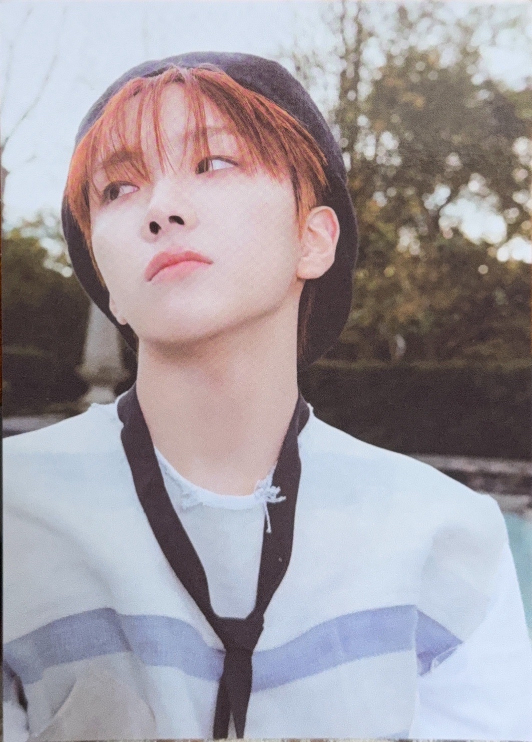 HOW? 專輯卡 明信片⛄️