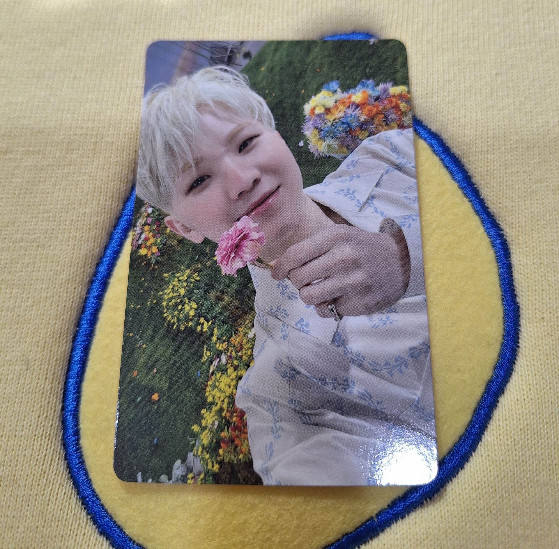 SECTOR 17 woozi