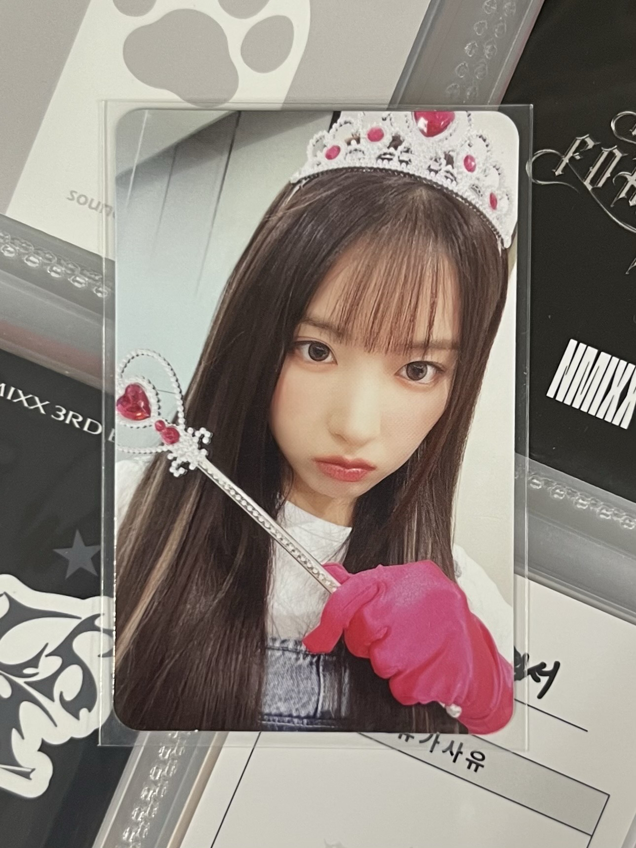 💫 NMIXX 公主友