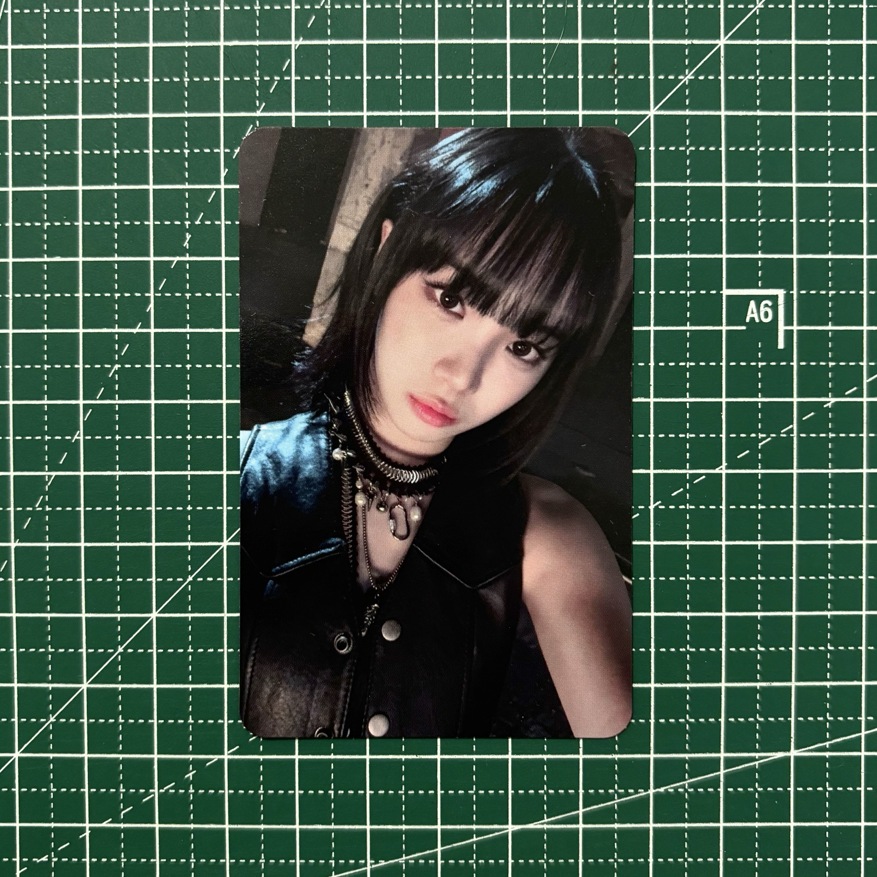 𓊆 直播 b 采 𓊇