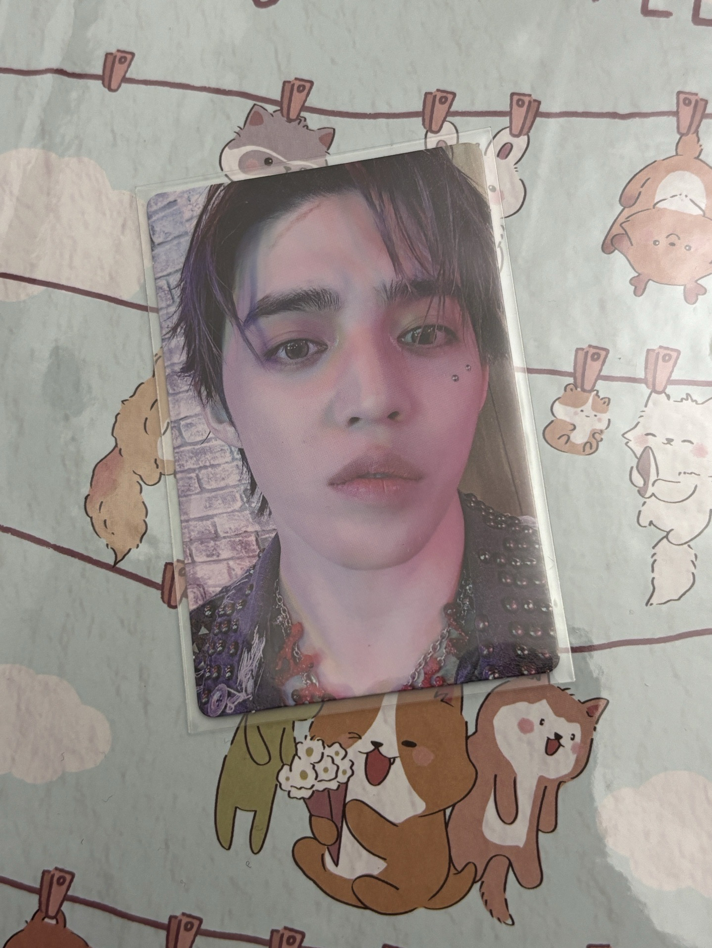 正五 new burstday ver.專卡 哲