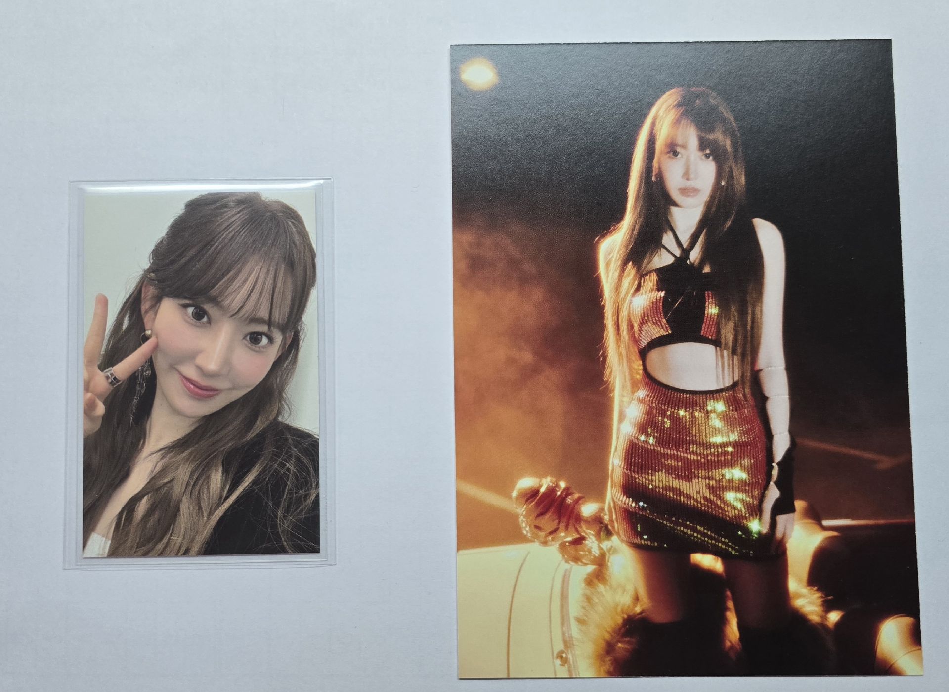 香港入場卡zone櫻花+香港櫻明信片