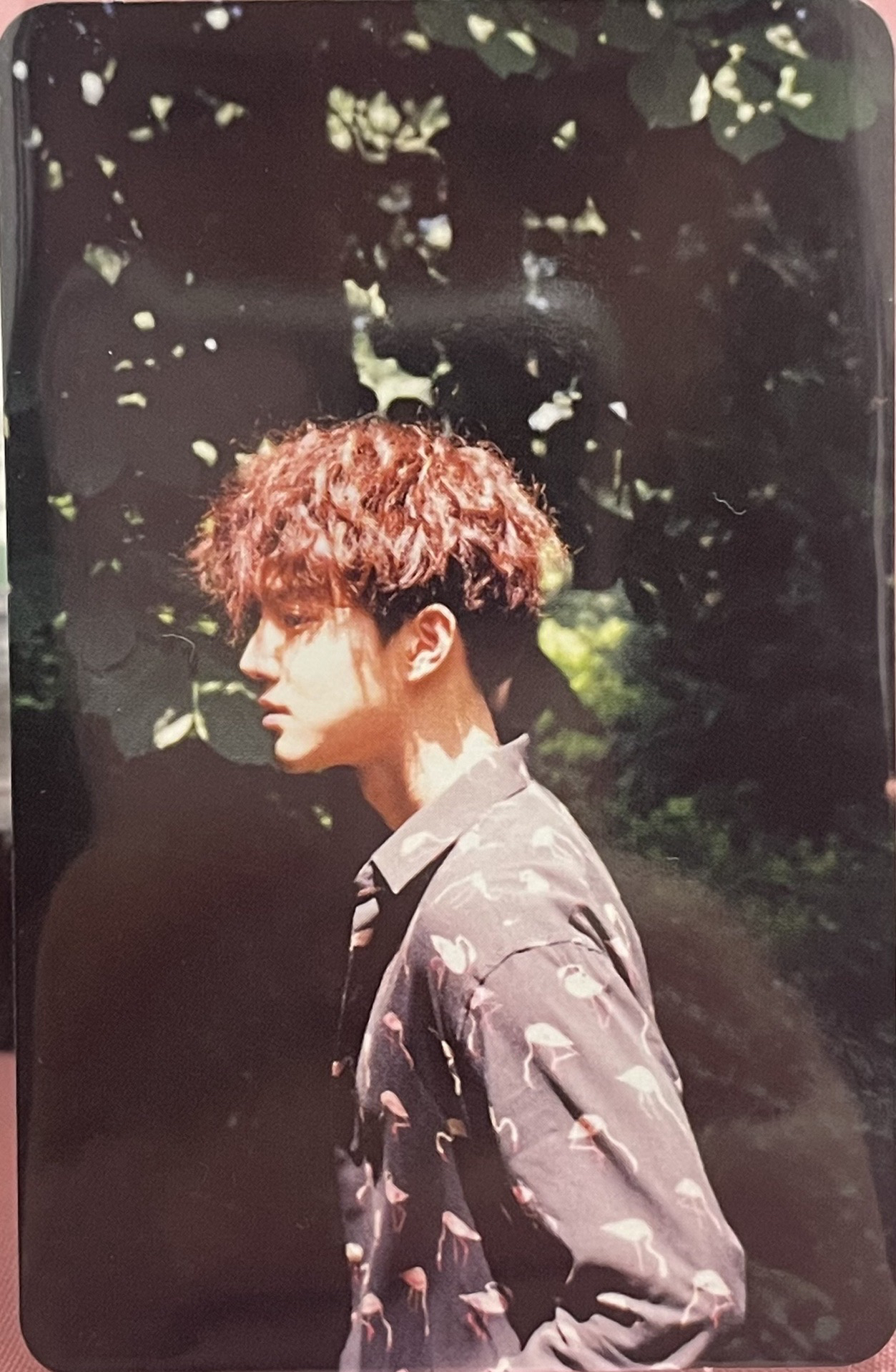 SUHO/金俊勉/Kokobop專卡