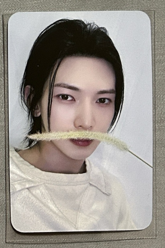 狗尾草尚（雙面卡）