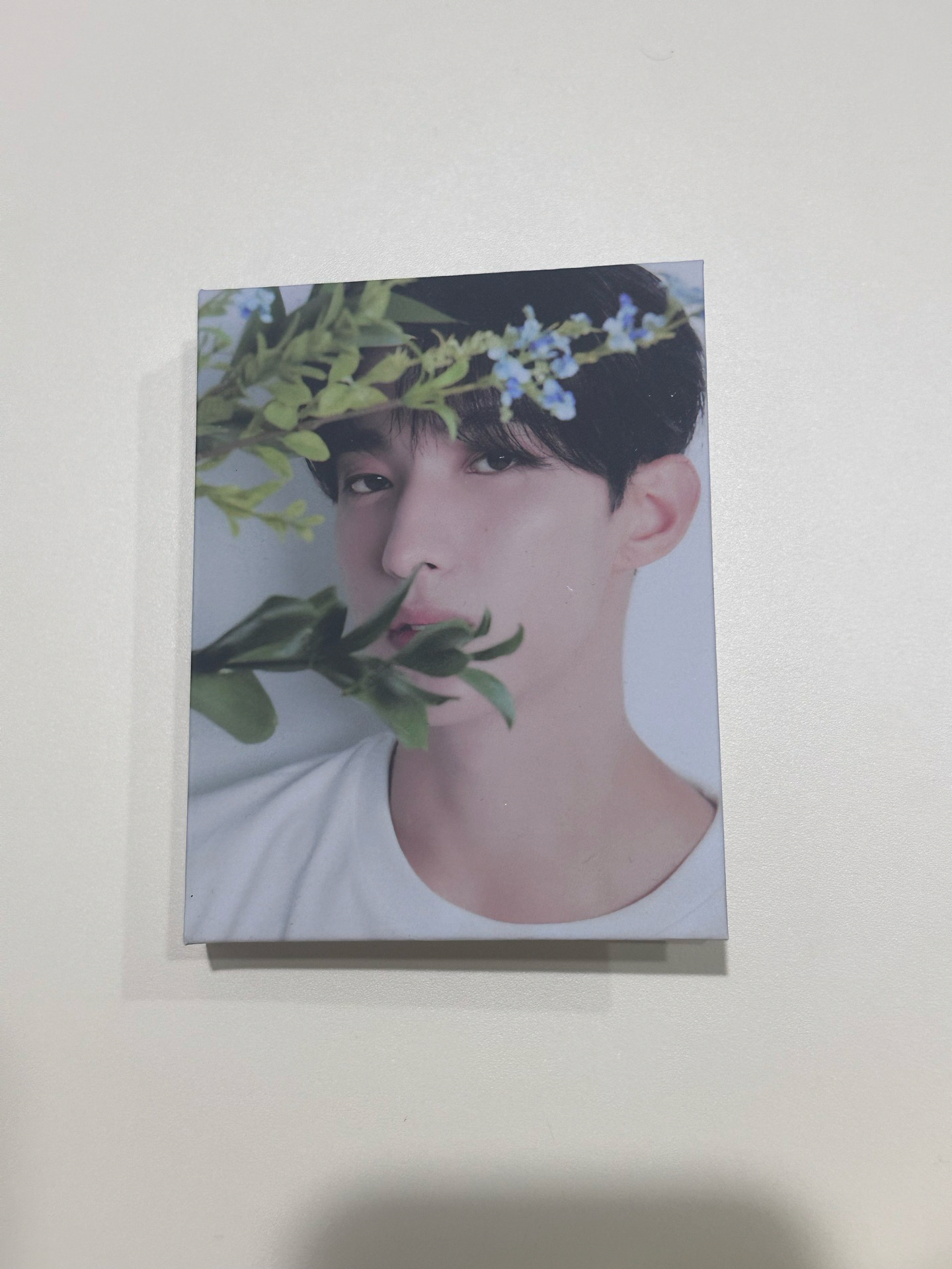 seventeen 精選專克拉盤 碩的固卡組 DK