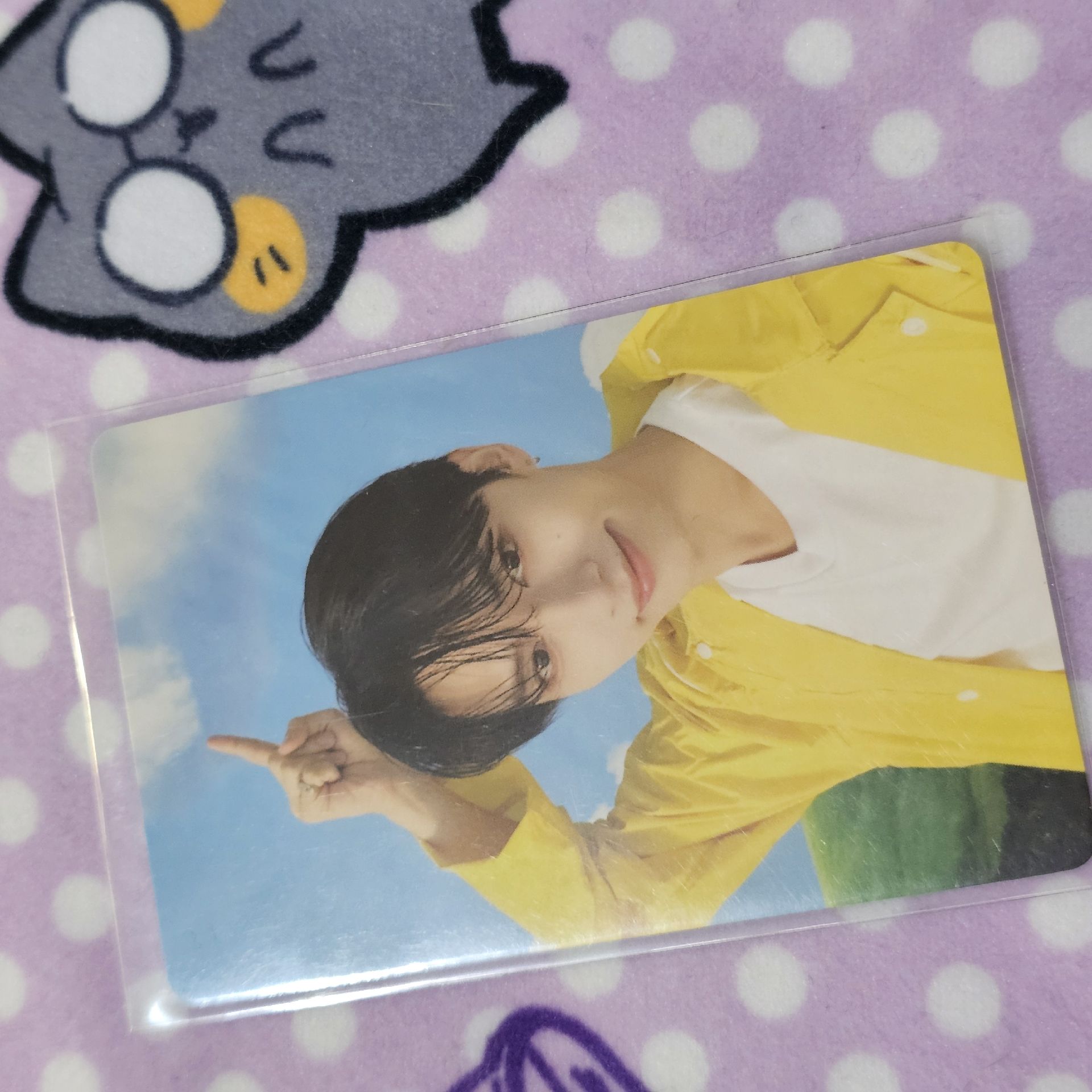 雨衣克拉盤 JUN 文俊輝