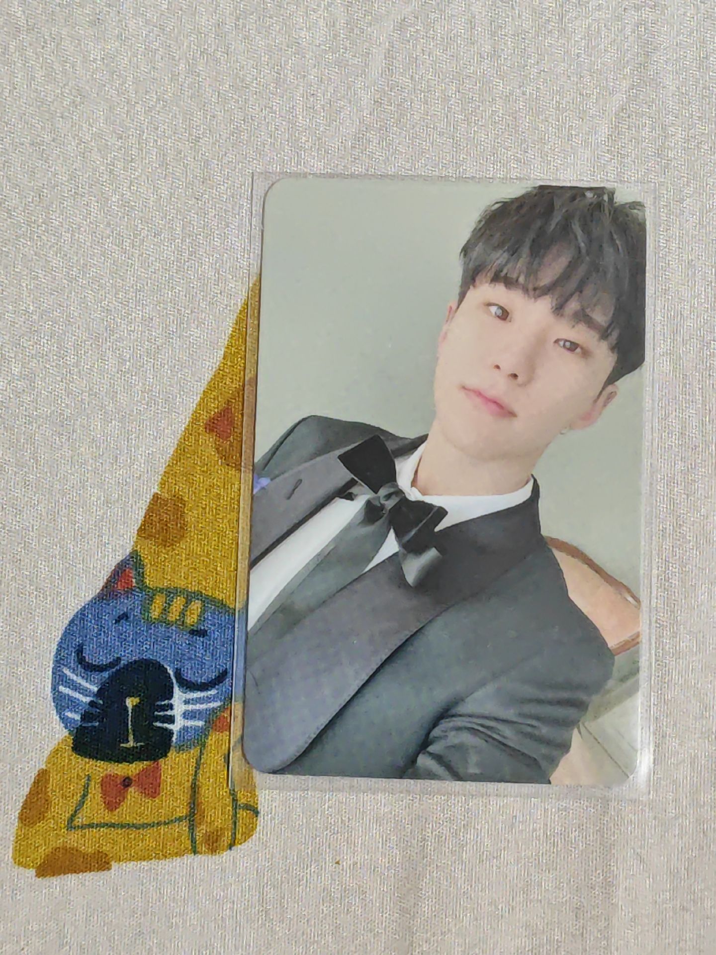 hoshi mini10克拉盤隨機卡