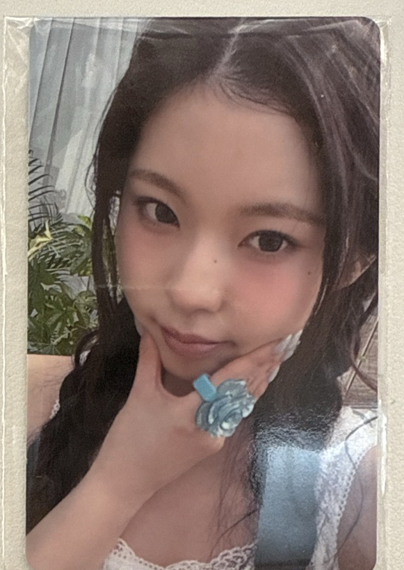 NSWER VACATION fans 線上 滿額卡 圭