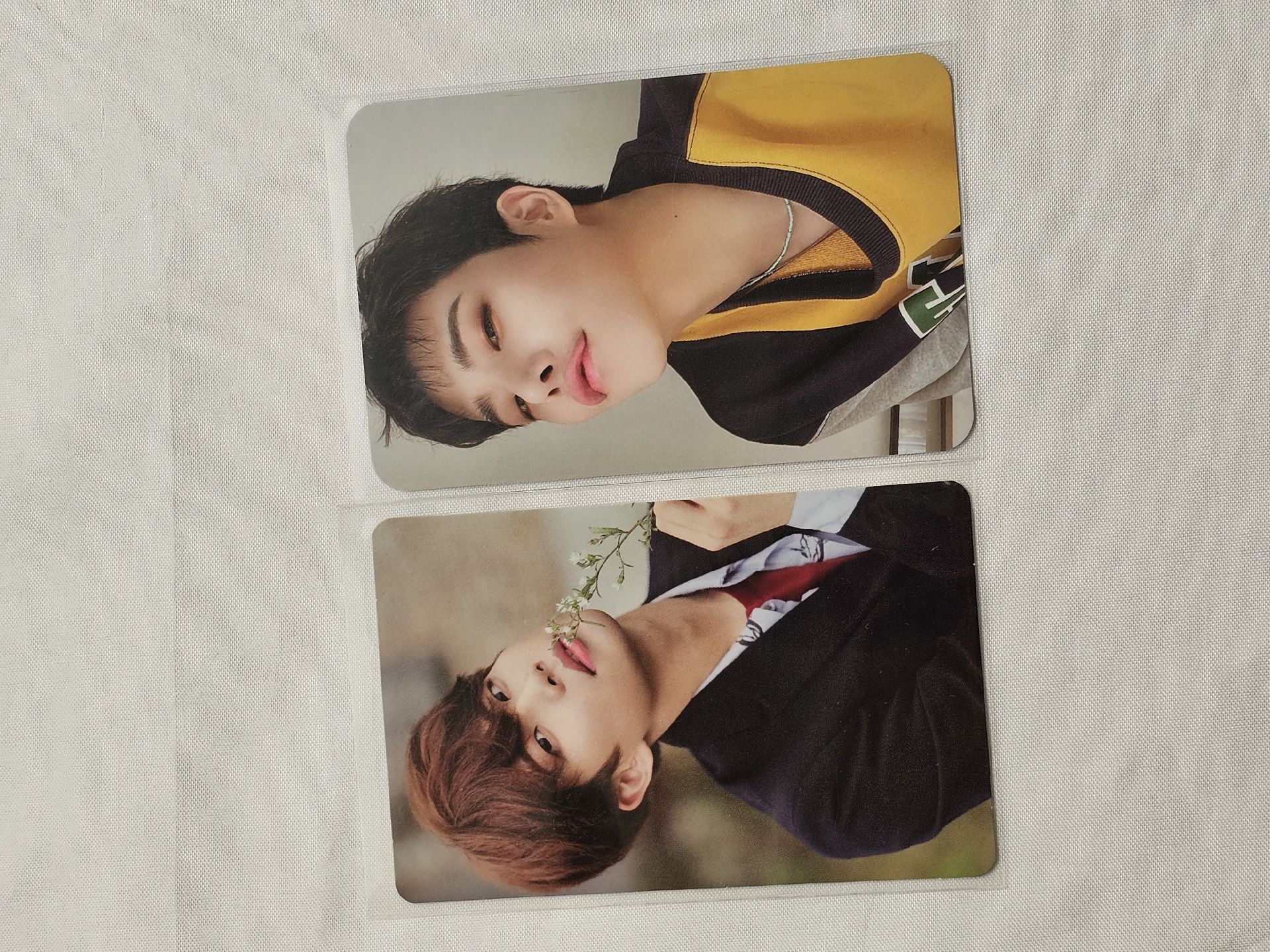 🩵MJ 專卡+會員禮卡