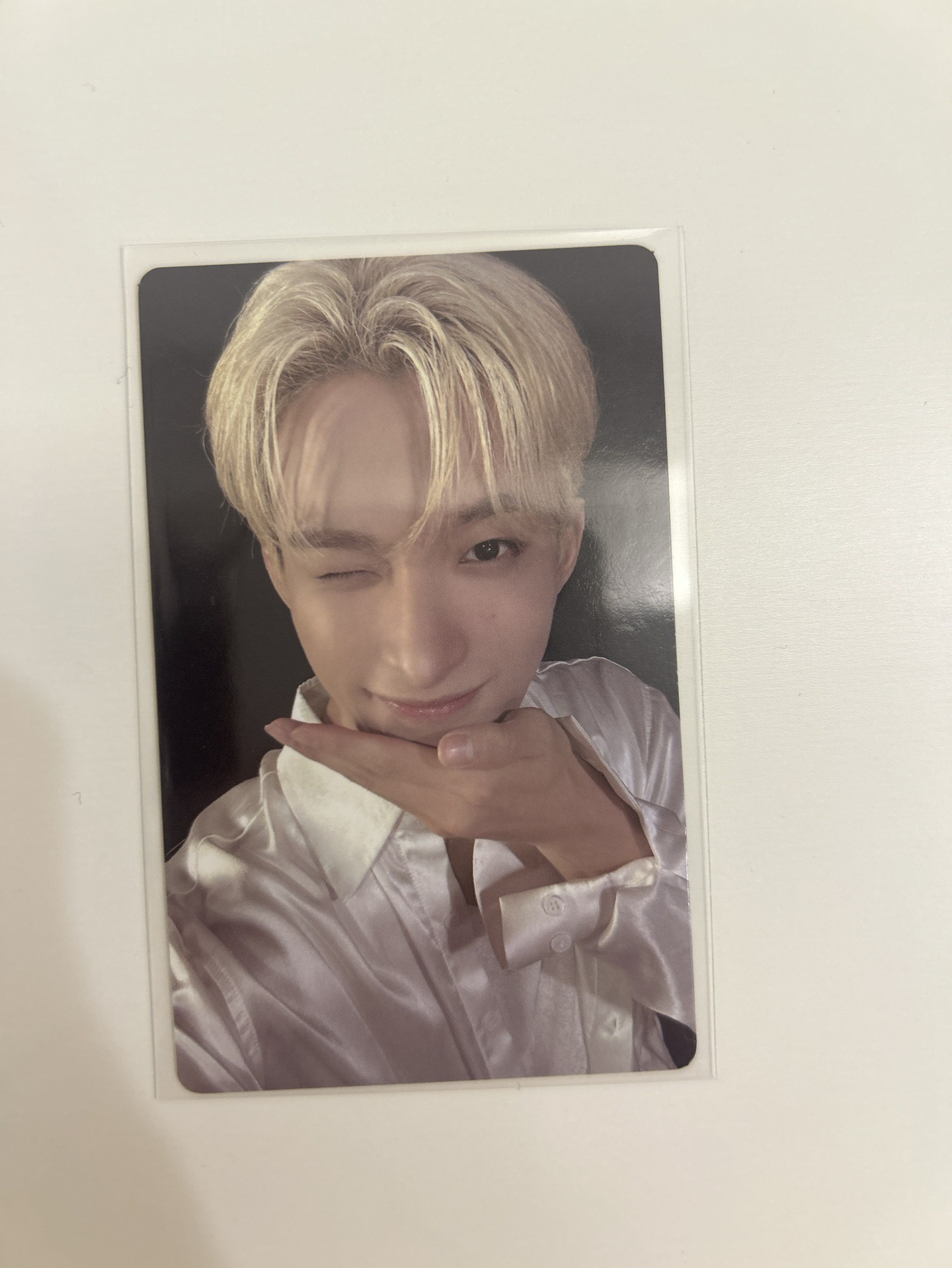 DK|MINI12 |wvs 特典卡