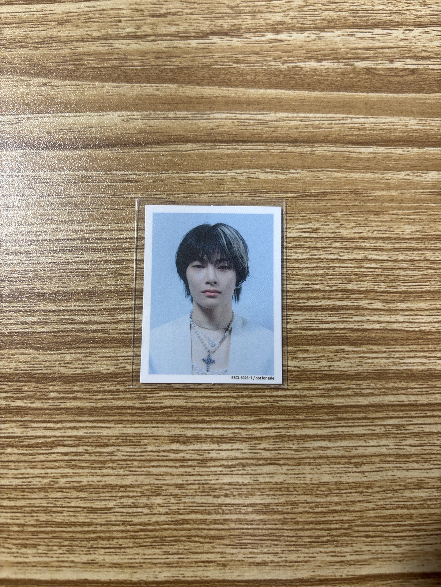 GIANT B版寅證件照