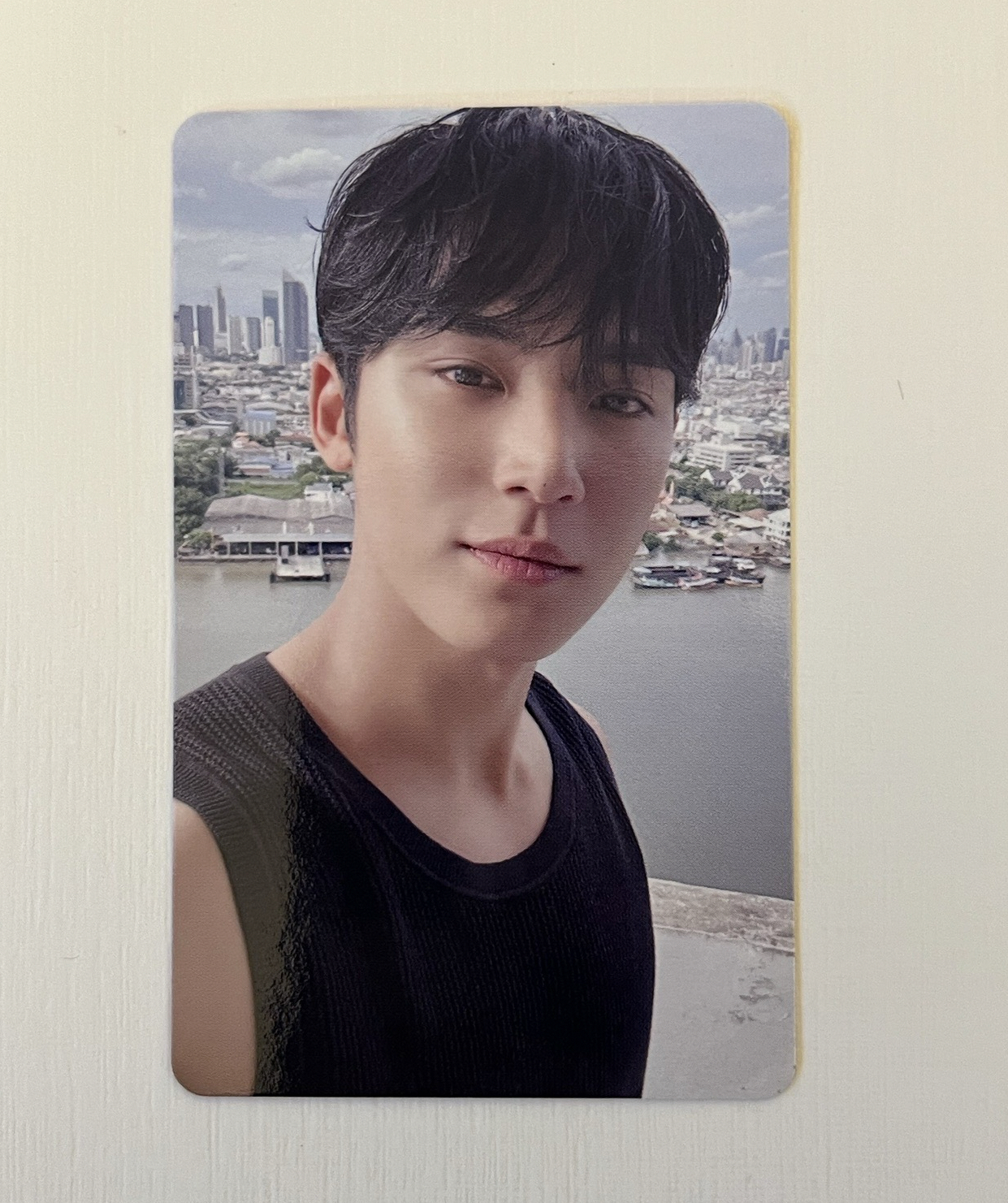 迷12 wvs 愛知場限 奎