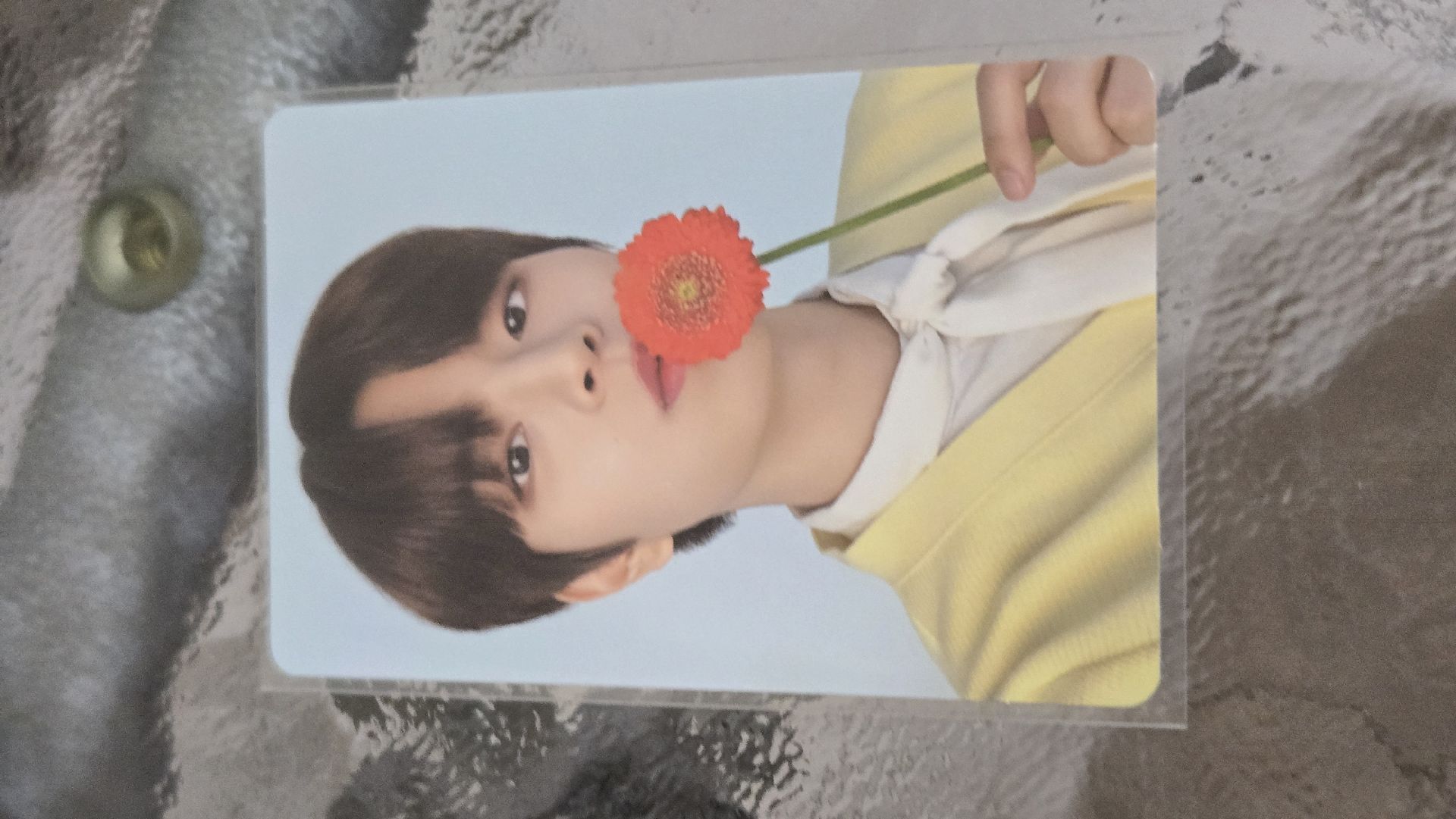 拿花🐶