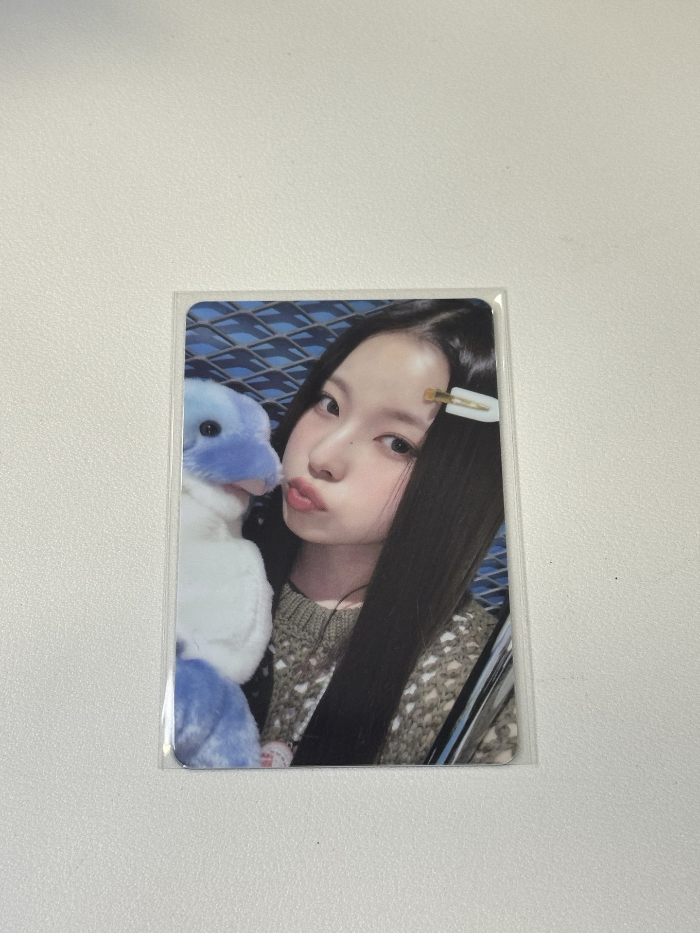 NMIXX｜PVC海豚圭