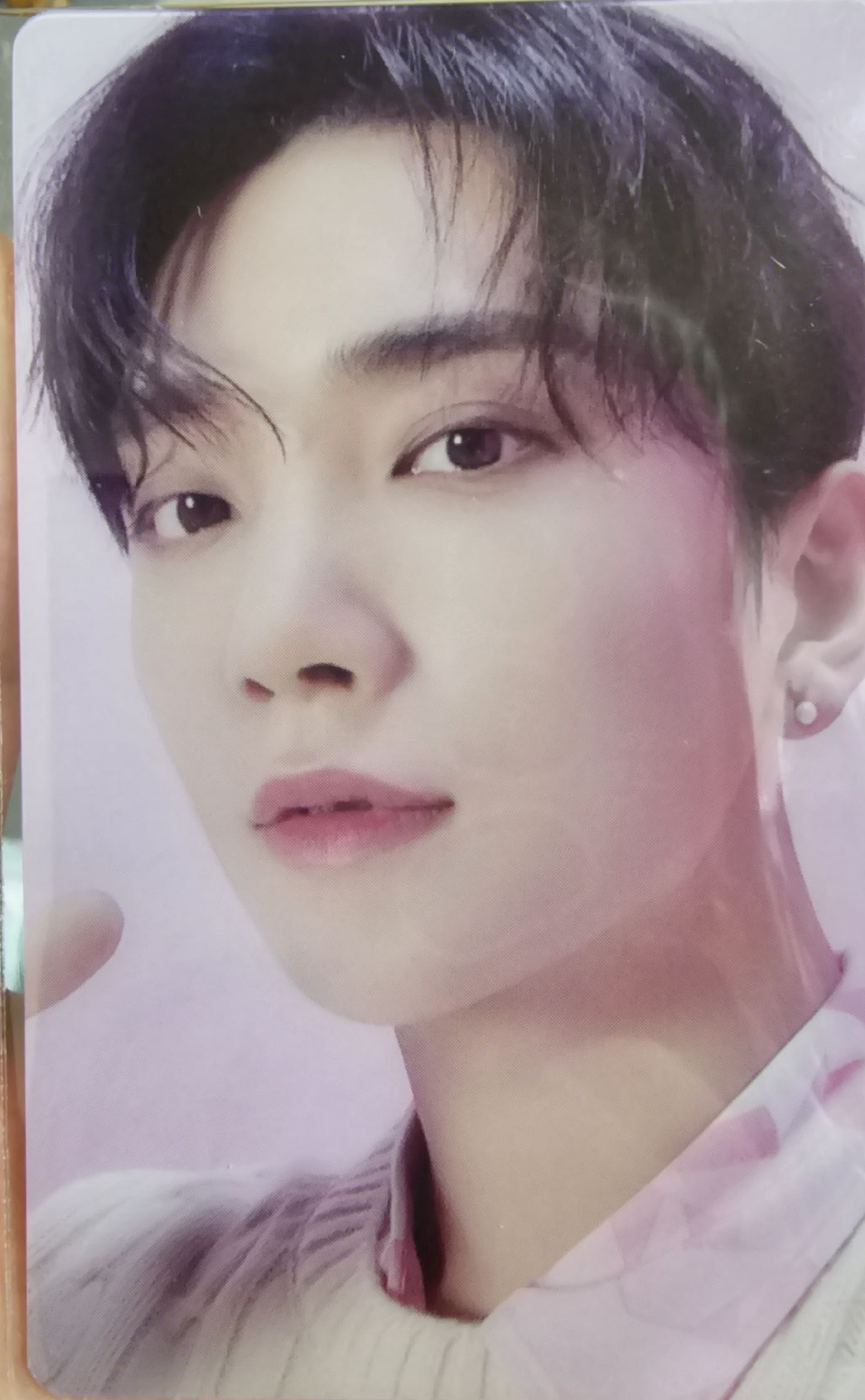 DREAM 日咖 特典卡 ｜WVSJP特典