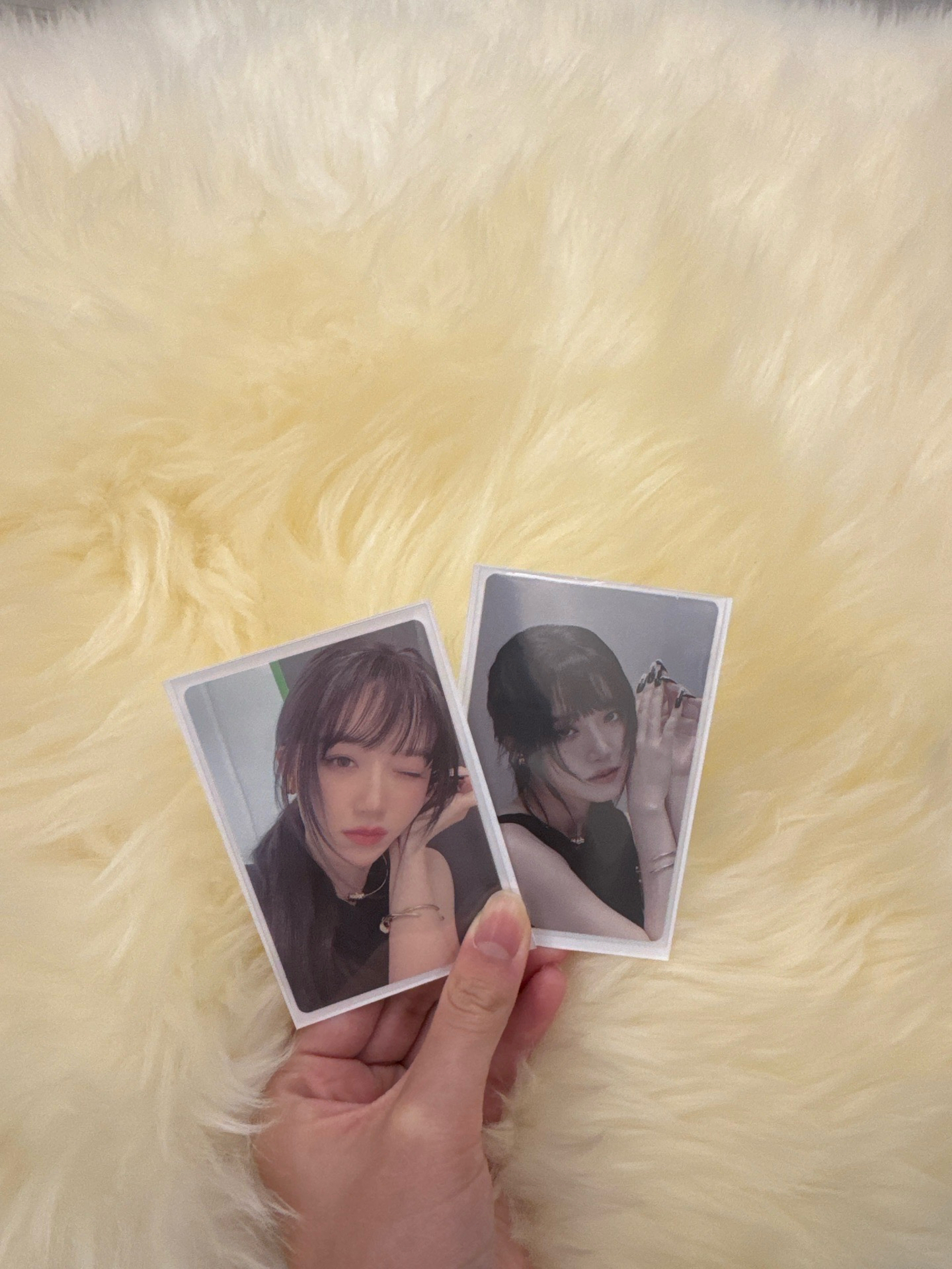 正規二 舒華小卡